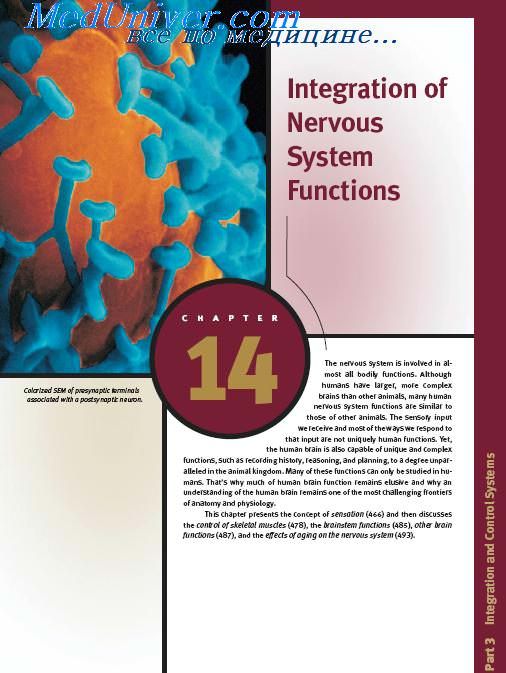  Anatomy and Physiology Integration of Nervous System Functions