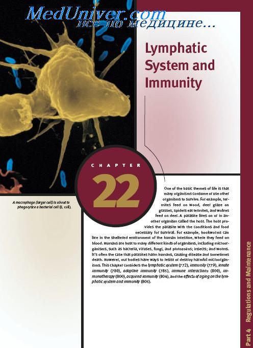  Anatomy and Physiology Lymphatic System and Immunity