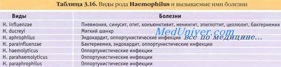 . Haemophilus influenzae  aegyptius.  -