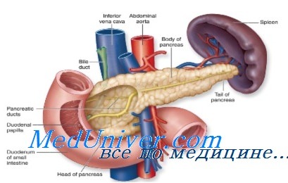http://meduniver.com/Medical/Physiology/Img/2373.jpg