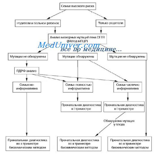 Принципиальная схема пренатальной диагностики муковисцидоза