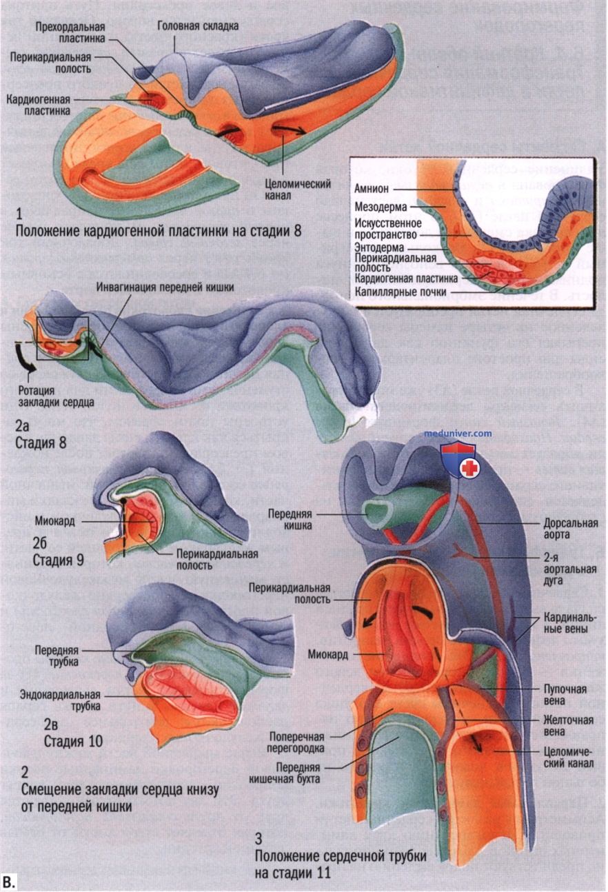 �������� � ����������� ������ � ����������� �������