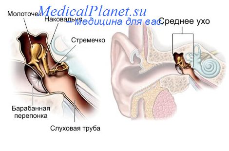 внутренний слуховой проход