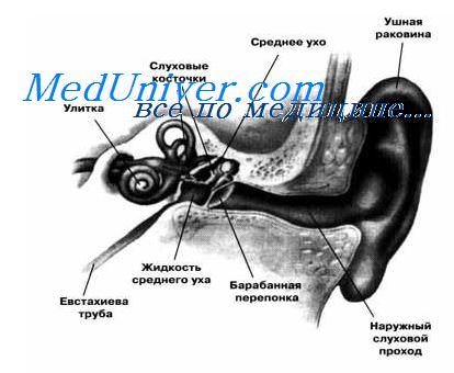 компьютерная томография уха