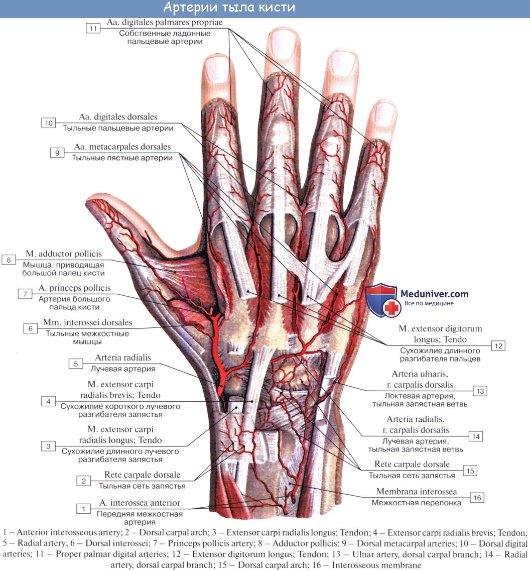 Повреждение пальцевой артерии