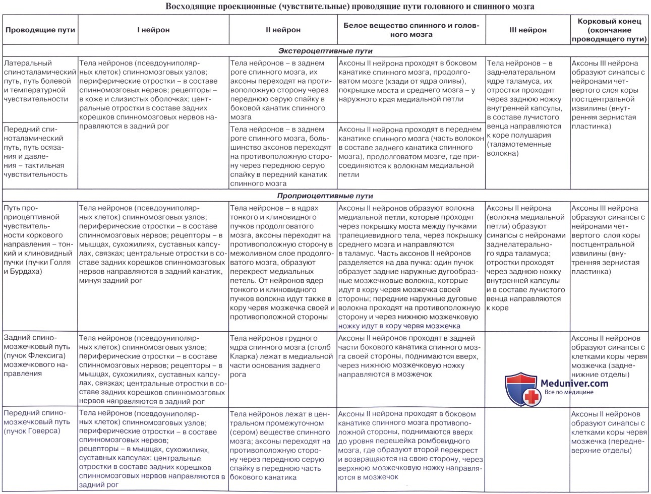 Пути через таблицу. Проводящие пути спинного мозга анатомия таблица. Восходящие проводящие пути таблица. Собственные проводящие пути спинного мозга таблица. Проводящие пути центральной нервной системы таблица.