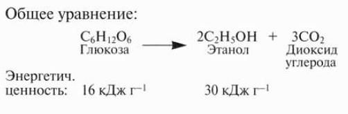 синтез этанола