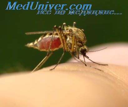 малярия в россии