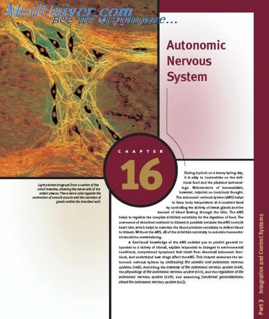книга Anatomy and Physiology Autonomic Nervous System