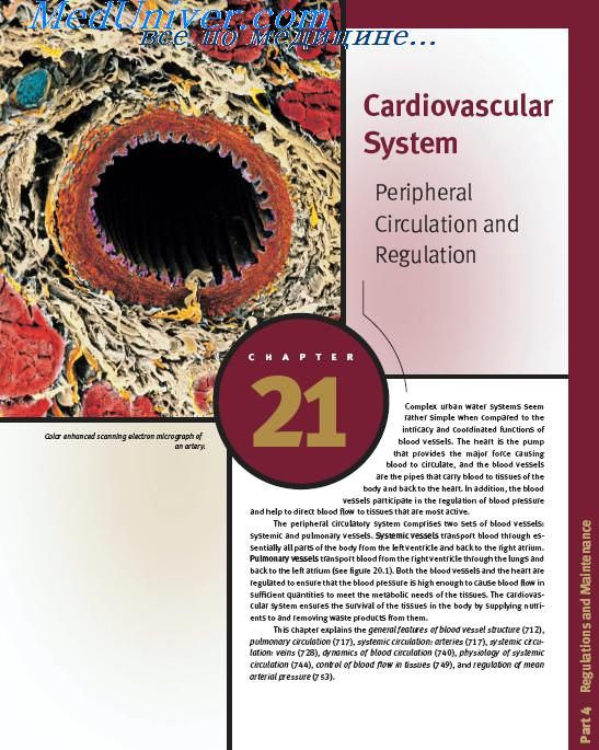книга Anatomy and Physiology Cardiovascular