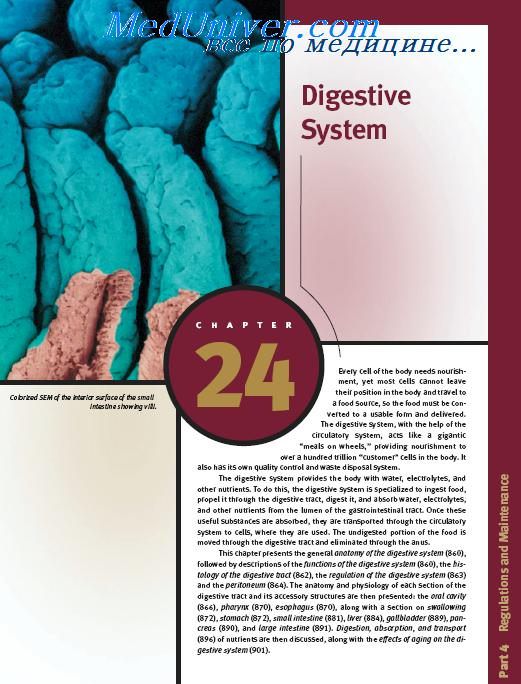 книга Anatomy and Physiology Digestive System