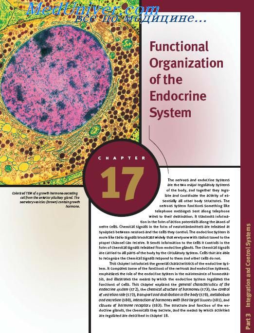  Anatomy and Physiology Functional Organization of the Endocrine System