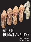 иностранные книги по анатомии