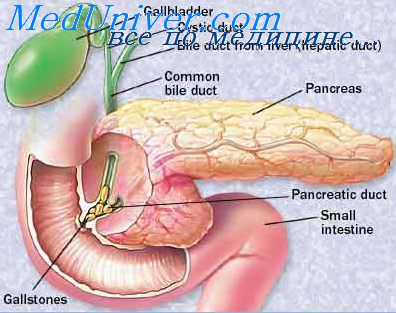 панкреатит и кишечные инфекции