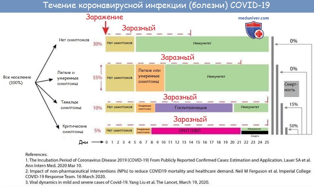 Течение коронавирусной инфекции (болезни) COVID-19