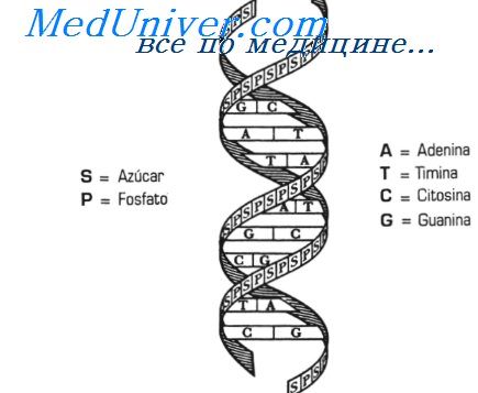 молекулярная медицина