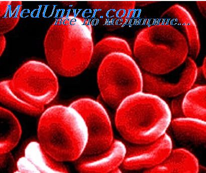Образование гемоглобина в крови thumbnail