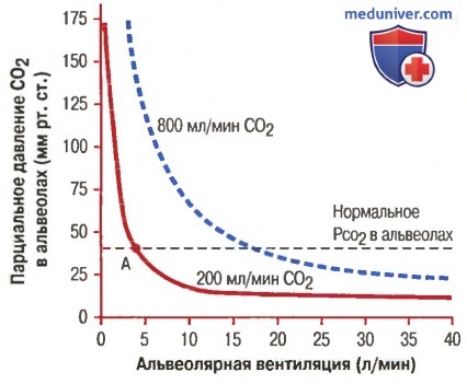 Концентрации и парциального давления кислорода в альвеолах. Выдыхаемый воздух
