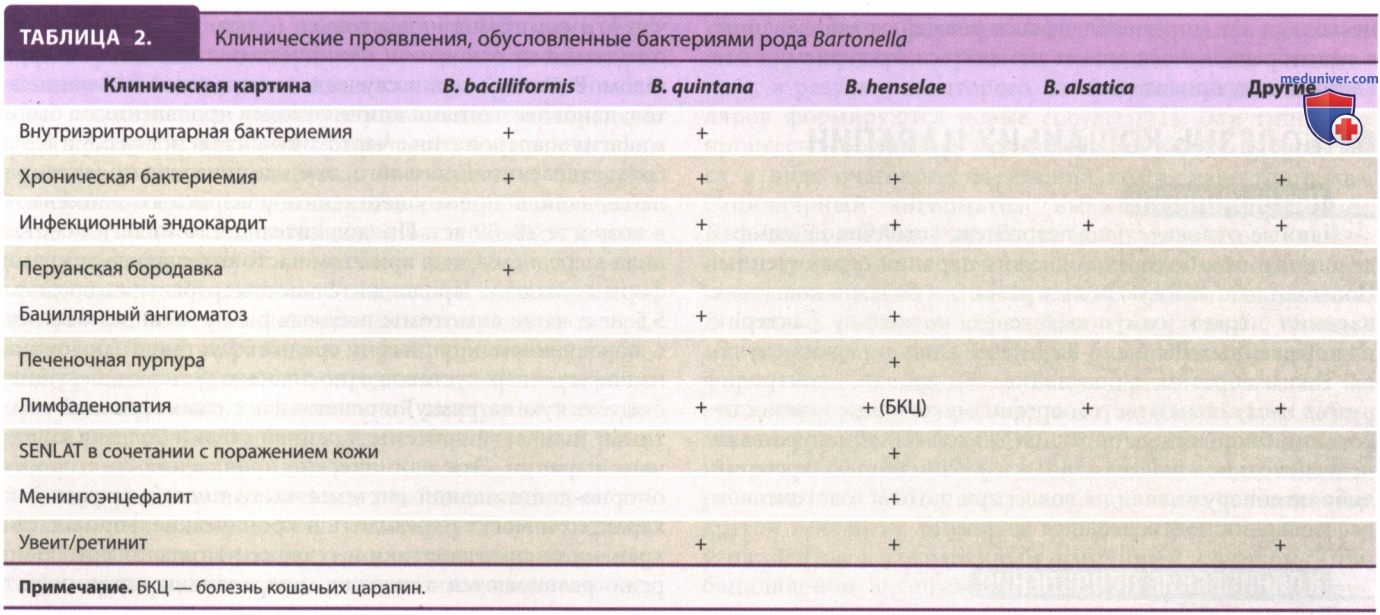 ��������� ����� � ������� ��������� (�������� Bartonella �����������)