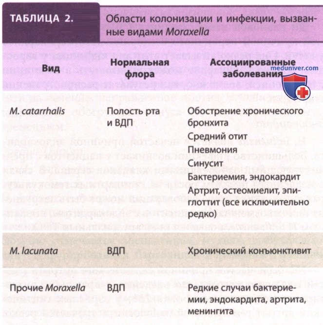 �������� ��������� Moraxella