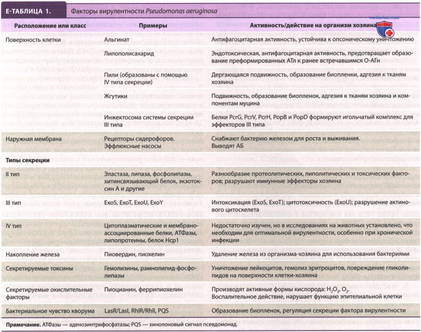 �������� Pseudomonas aeruginosa