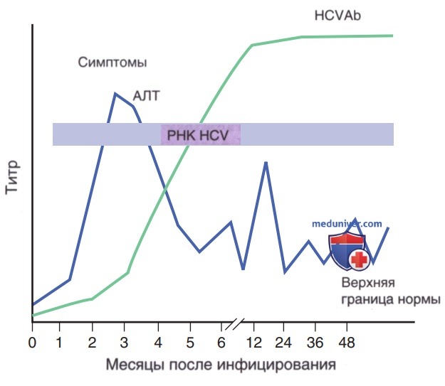 ������ ������� � (HCV)