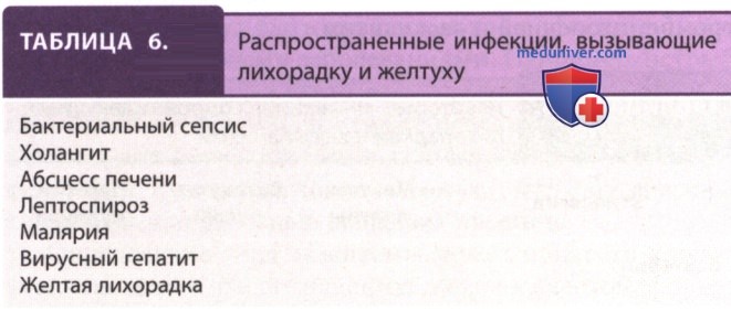 ������ � ������������ � ���������� ����������� ����