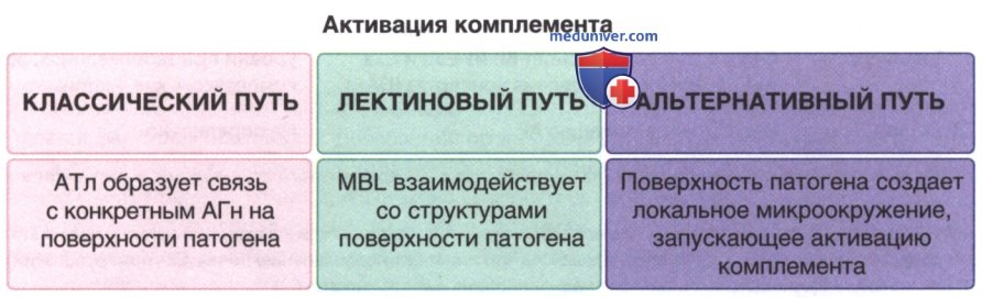 ������� ����������� � �������� �����������