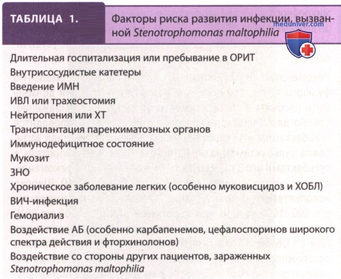 ����������� ������� �� ��������� Acinetobacter � Stenotrophomonas maltophilia � �������� � �������