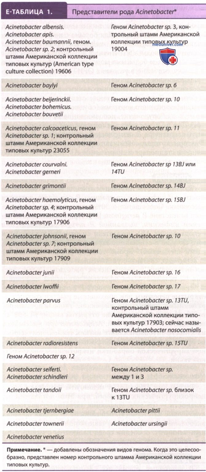�������� Acinetobacter