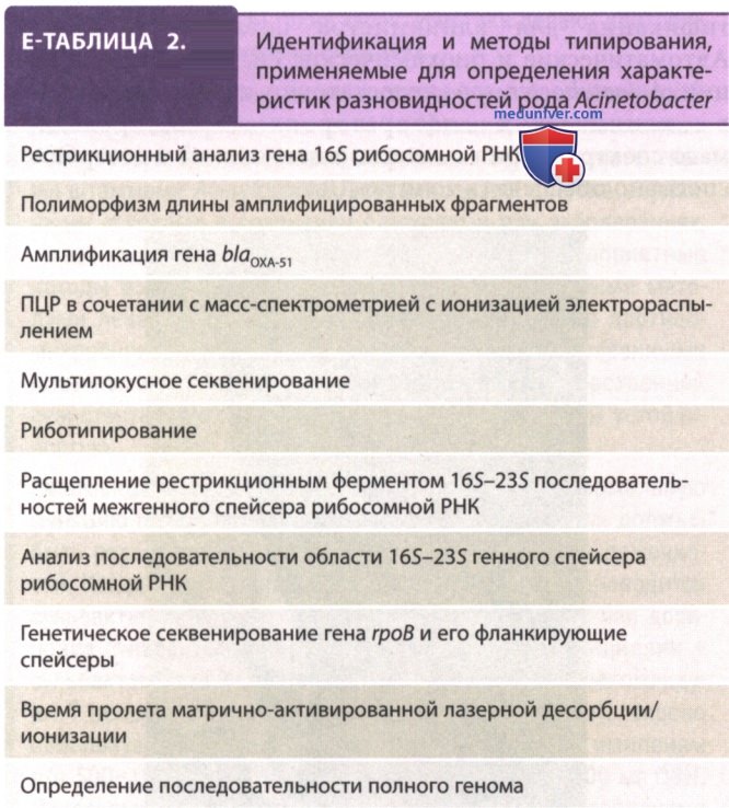 �������� Acinetobacter