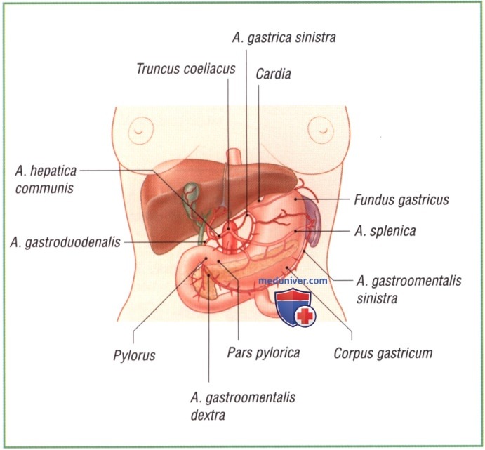 ���������-�������� �����