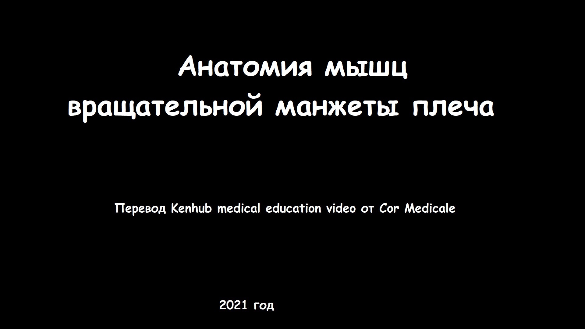 Видео анатомия мышц вращательной манжеты плеча