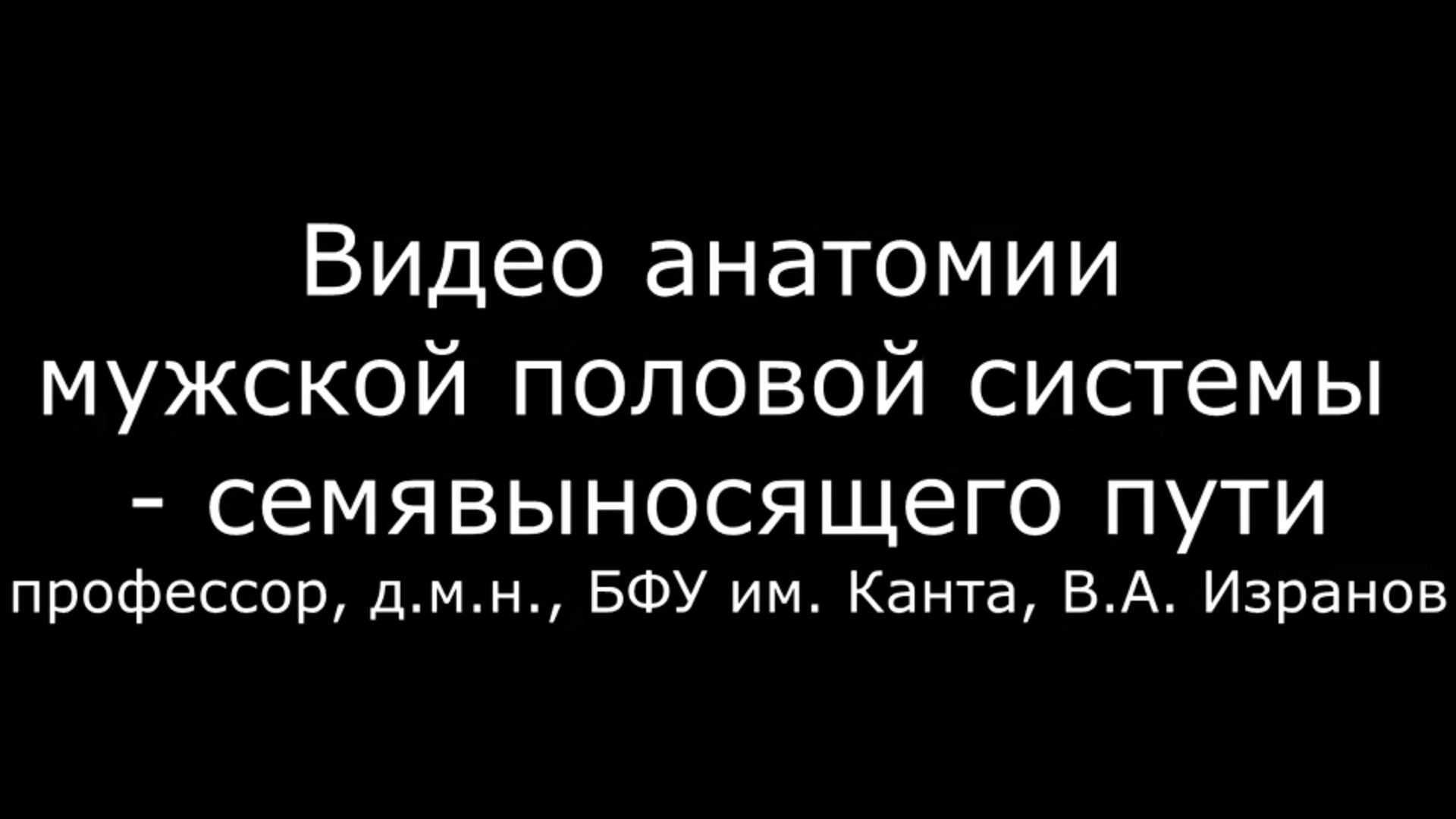 Вы точно человек?