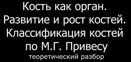 Видео урок: Кость как орган. Развитие и рост костей. Классификация костей по М.Г. Привесу