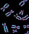 хромосомные патологии