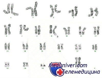 методы идентификации хромосом