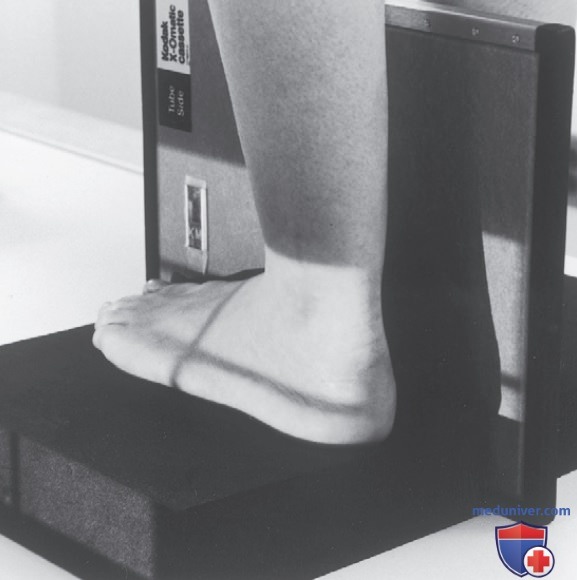 ������������ �� ��������� ������������ ������������ ���� (��), ��������� ����� ���� � ��������� ����������� (��) ��� �������� (������������) ��������������