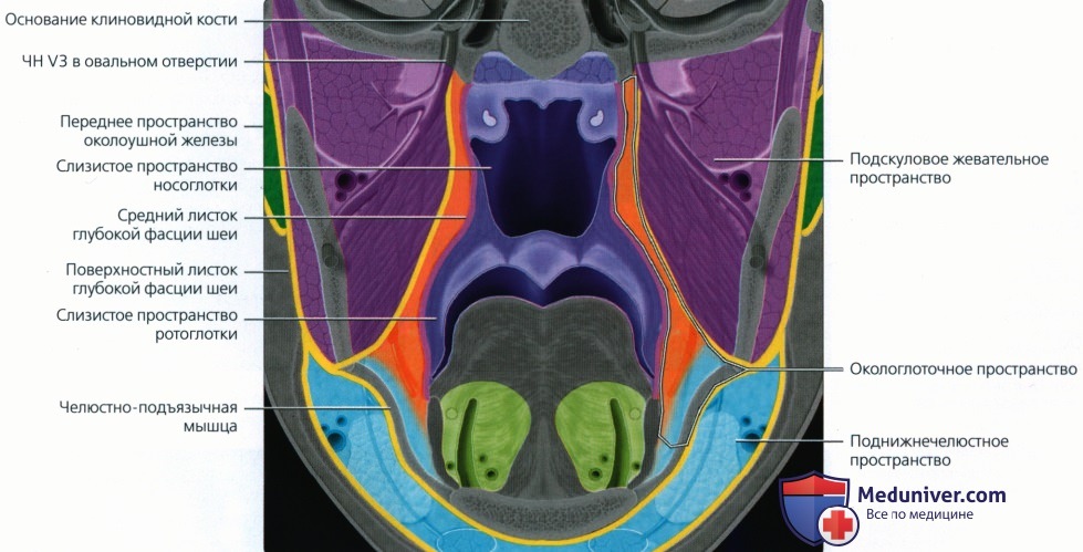 Введение в лучевую диагностику окологлоточного пространства: лучевая анатомия, методы исследования