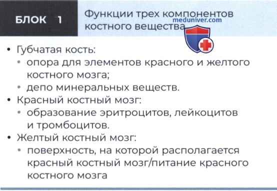 ���������� � ������� �������� �������� �����