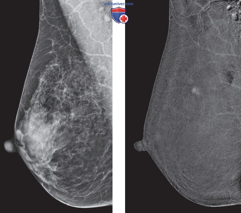 �������� ����������� � ����������������� � ����������� ���� �������� ������