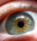 паразитарные болезни глаз