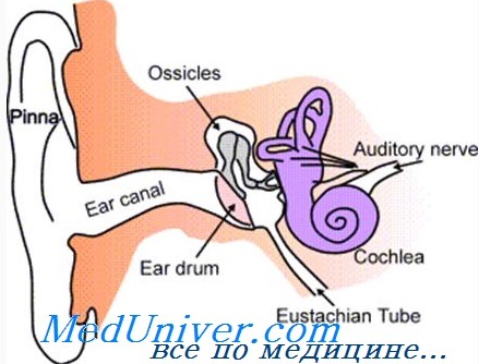 продувание слуховой трубы