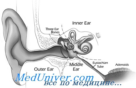 слуховой анализ
