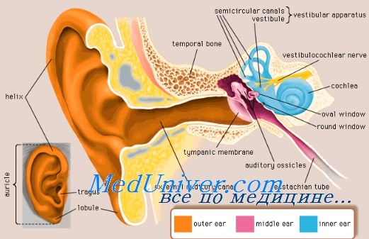 нарушения проходимости слуховой трубы