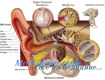 сифилис слухового аппарата