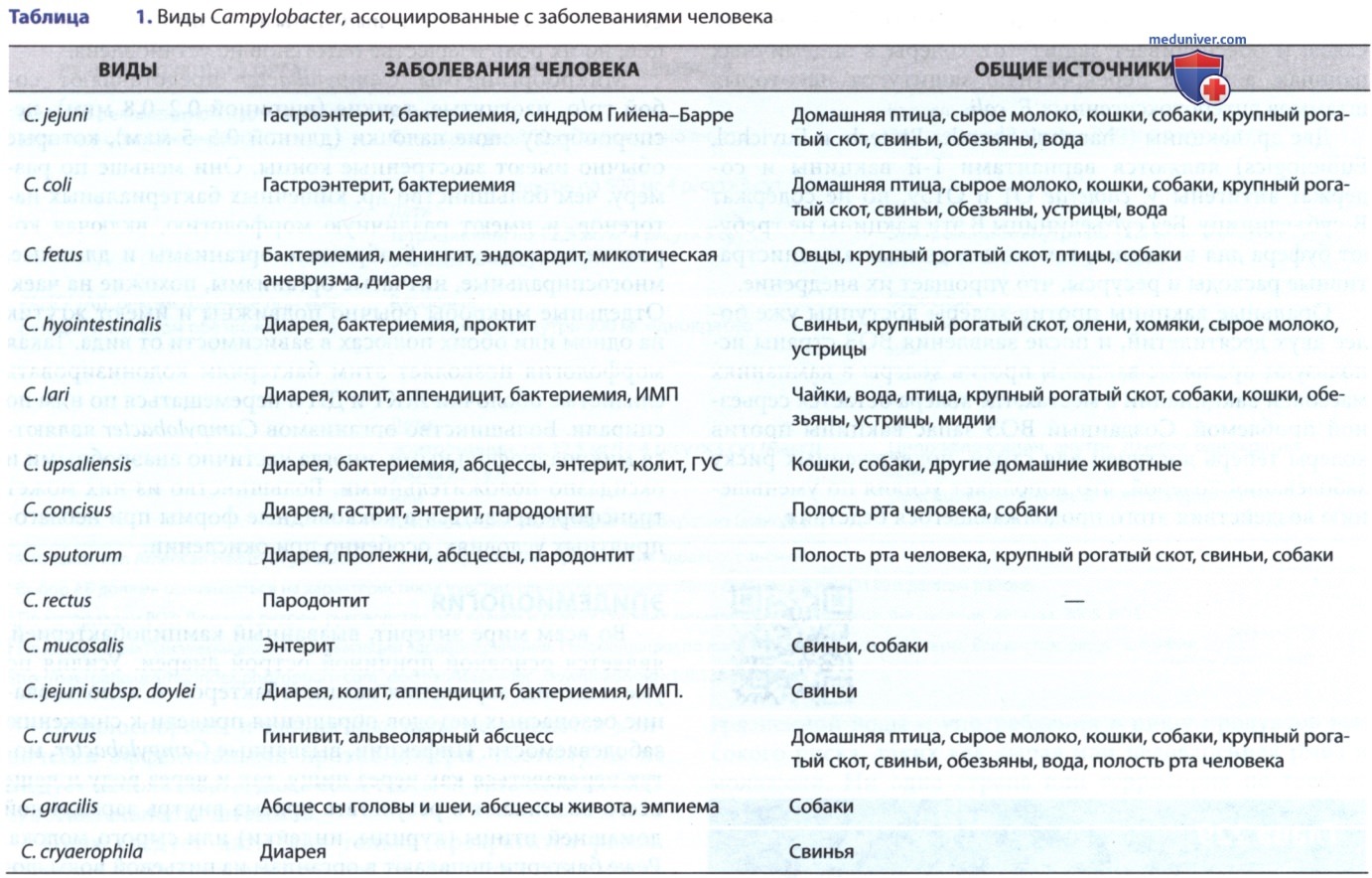 Campylobacter (��������, ��������� �����������������) � �������