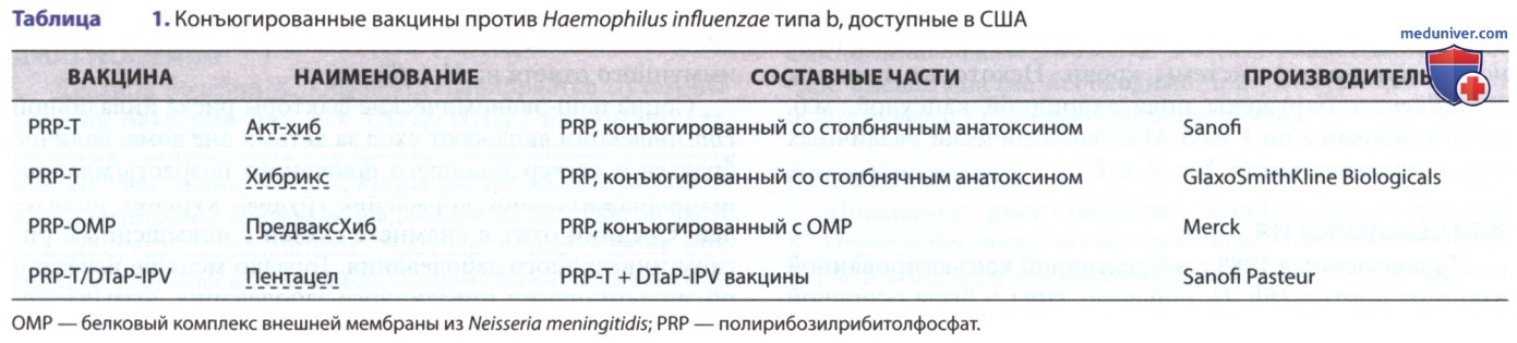   (Haemophilus influenzae)  