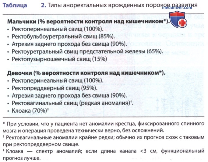 Атрезия анального прохода у кошки | Фауна-сервис