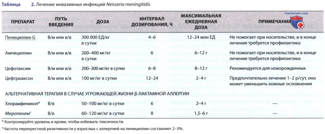 Neisseria meningitidis (�����������) � �������
